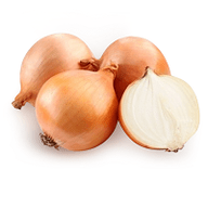 onion fungus